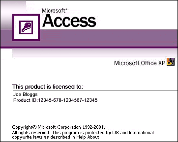 The standard Microsoft Access Splash Screen