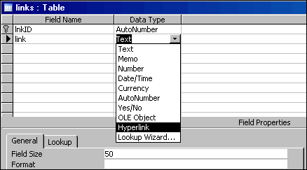 ms access data type